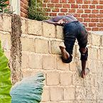 image of dancer on wall